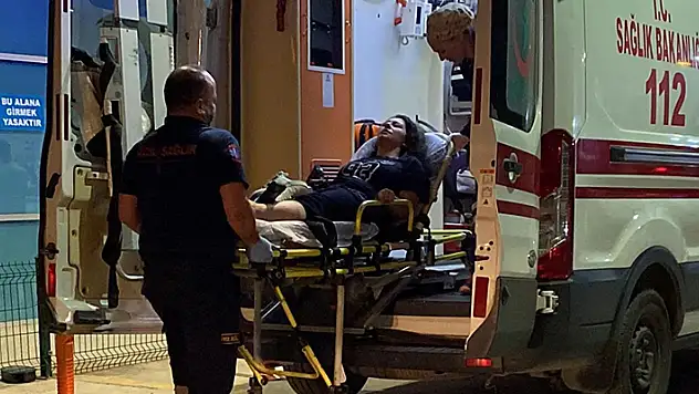 Anne ile kızı, kedilerini öldürdüğünü iddia ettiği baba-kız tarafından darbedildi
