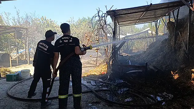 Antalya'da ahır yangını: 3 inek, 12 keçi telef oldu
