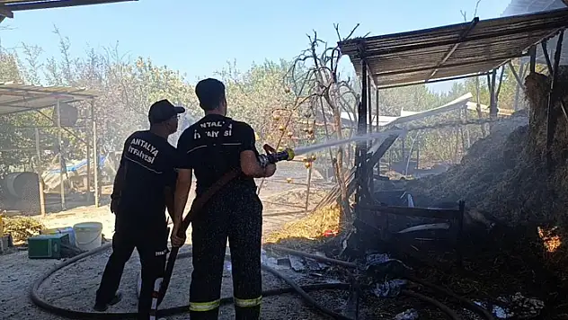 Antalya'da ahır yangını: 3 inek, 12 keçi telef oldu
