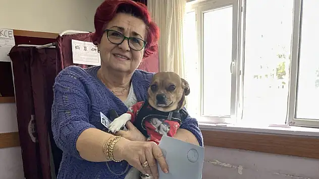 Antalya'da bazı seçmenler oy kullanmaya köpekleriyle gitti
