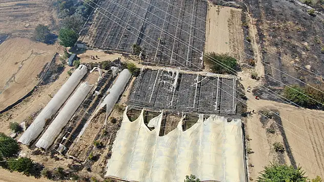 Antalya'da çıkan orman yangınında seralar büyük zarar gördü
