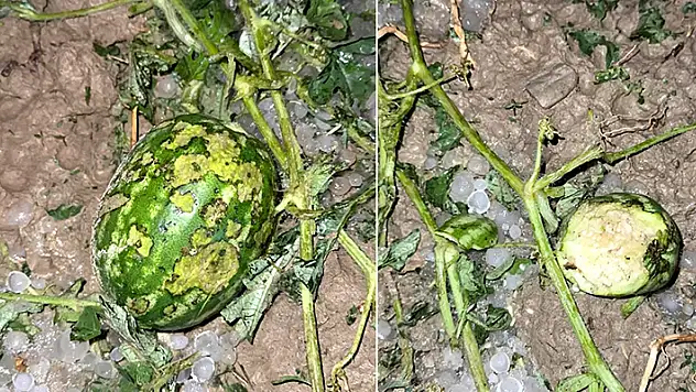 Antalya'da fırtına ve dolu ekili alanlara zarar verdi
