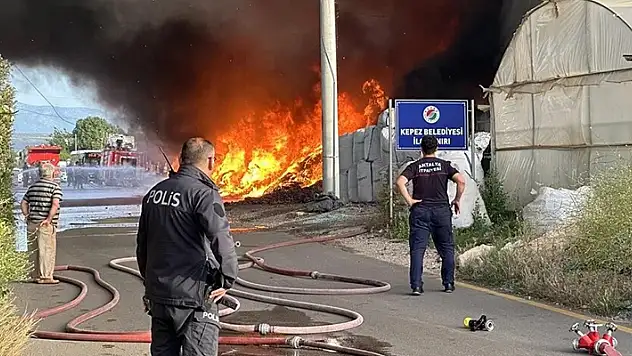 Antalya'da geri dönüşüm deposunda çıkan yangın seralara sıçradı
