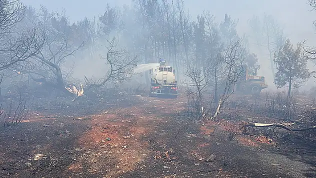 Antalya'da iki ayrı noktada orman yangını çıktı
