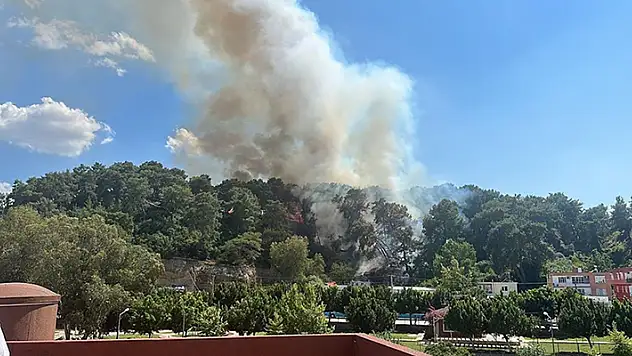 Antalya'da ki orman yangını kontrol altına alındı