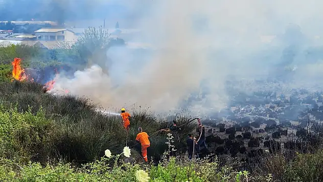 Antalya'da orman yangını! 
