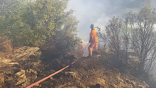 Antalya'da ormanlık alanda çıkan yangına müdahale ediliyor
