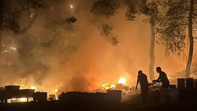 Antalya'da otluk alanda yangın: Arı kovanları zarar gördü
