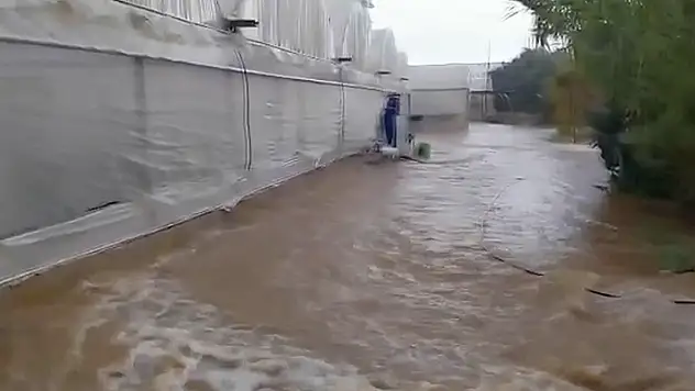 Antalya'da sağanak sera ve meyve bahçelerine zarar verdi
