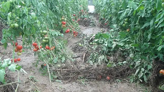 Antalya'da sağanak su taşkınlarına neden oldu
