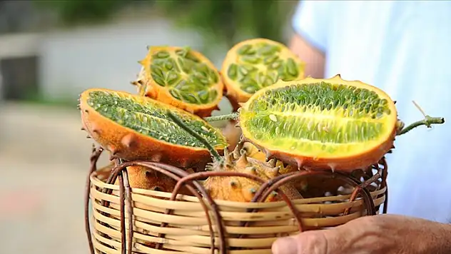 Antalya'da tropikal meyve kiwano üreticiye gelir kapısı oldu
