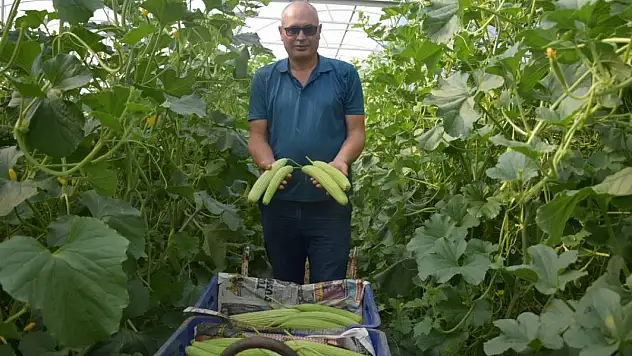 Antalya'da Üretilip Kilosu 30 TL'den Almanya'ya Gidiyor