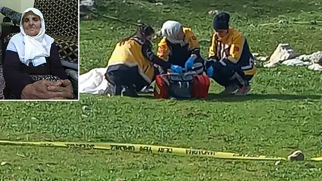Antalya'da yaşlı kadının ölümüne sebep olan çoban köpeklerinin sahibi tutuklandı
