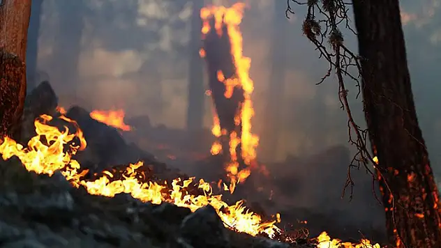Antalya'nın Akseki ilçesindeki orman yangınına havadan ve karadan müdahale sürüyor
