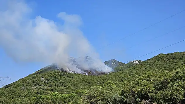 Antalya'nın Demre ilçesinde orman yangını çıktı
