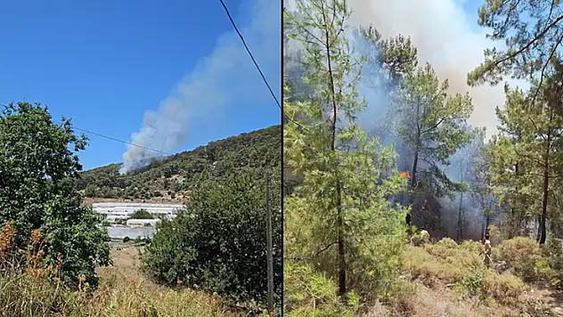 Antalya'da çıkan orman yangınına müdahale ediliyor