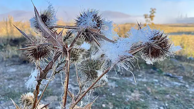 Ardahan'da soğuk hava nedeniyle sis, kırağı ve buzlanma oluştu
