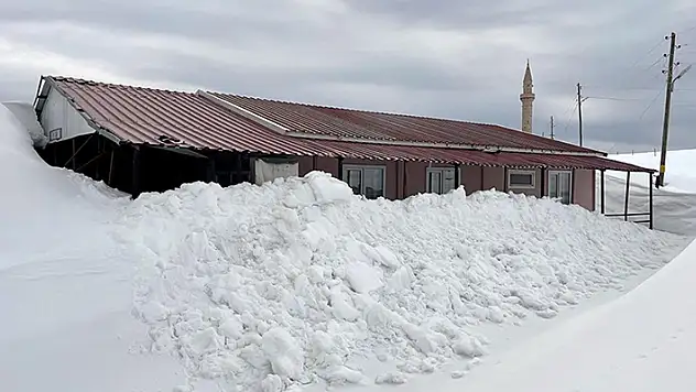 Ardahan'da yayla evleri ilkbaharda kar altında kaldı
