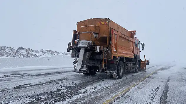 Ardahan'da kar ve buzlanma nedeniyle tırlar yolda kaldı