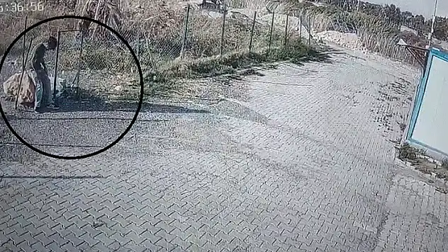 Arkadaşı nöbet tuttu, kendisi camdan girdiği konteynerden 30 saniye içerisinde laptop çaldı