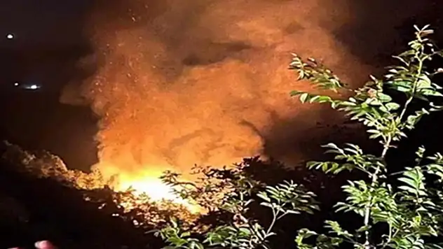 Armutlu'da 15 yıldır yanmayan ormanlar, 8 günde 3 kez yandı
