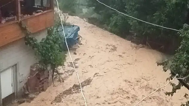 Artvin'de 4 köy yolu ulaşıma kapandı
