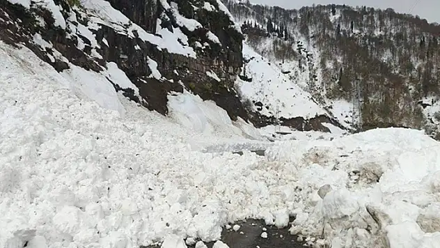 Artvin'de çığ nedeniyle 6 köy yolu ulaşıma kapandı
