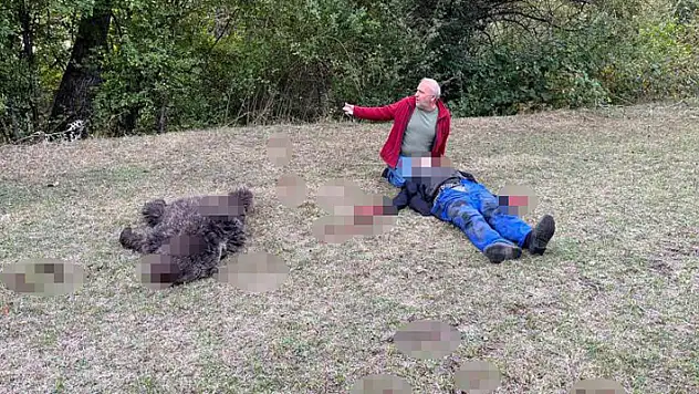 Artvin'de köye inen ayı yaşlı adama saldırdı! Feryadı duyan komşuları koştu, dehşet görüntü
