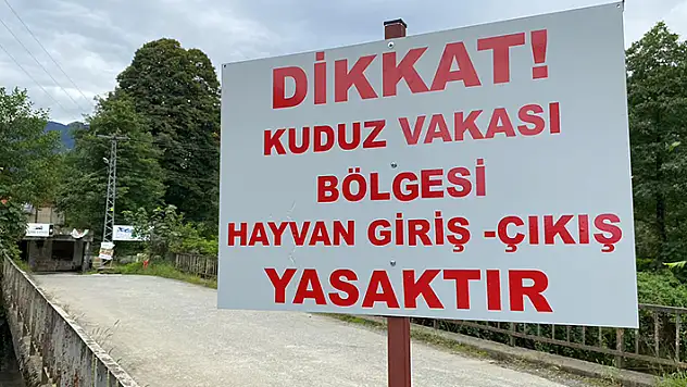Artvin'de sahibini ısıran köpek kuduz çıktı 3 köye karantina 

