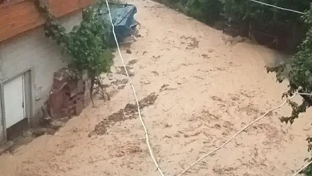 Artvin'de sel suları 4 köy yolunu ulaşıma kapattı
