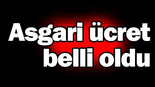 Asgari ücret belli oldu