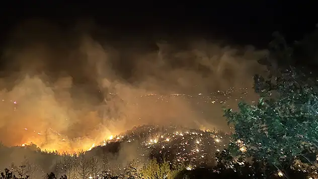 Aşırı sıcakta 'ateşsiz piknik' önerisi
