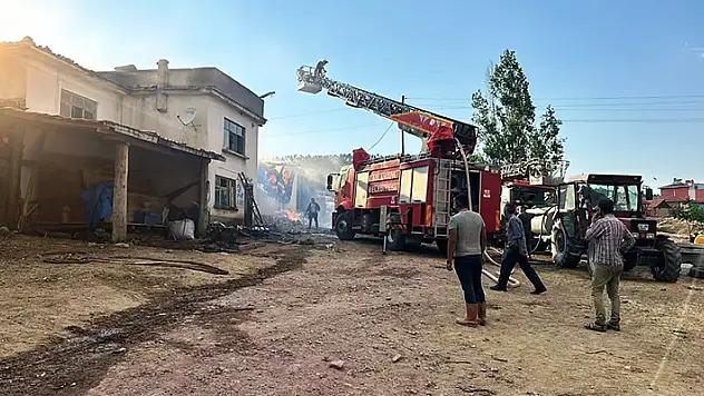 Aslanapa'da çıkan yangında 14 büyükbaş hayvan telef oldu
