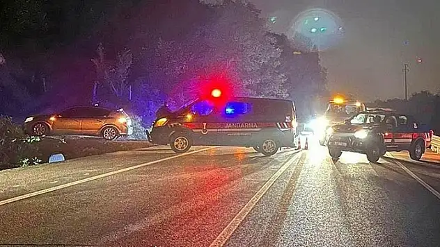 At sürüsüne çarpan otomobil zincirleme kazaya neden oldu!
