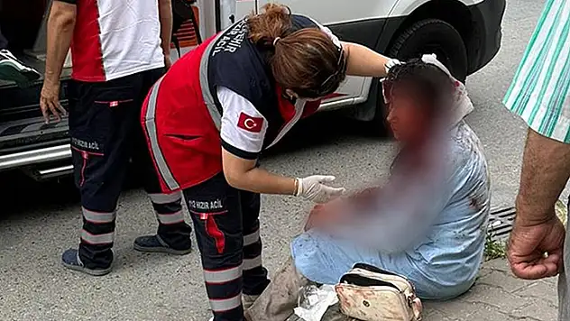 Ataşehir'de köpeğin saldırısına uğrayan kadın ağır yaralandı