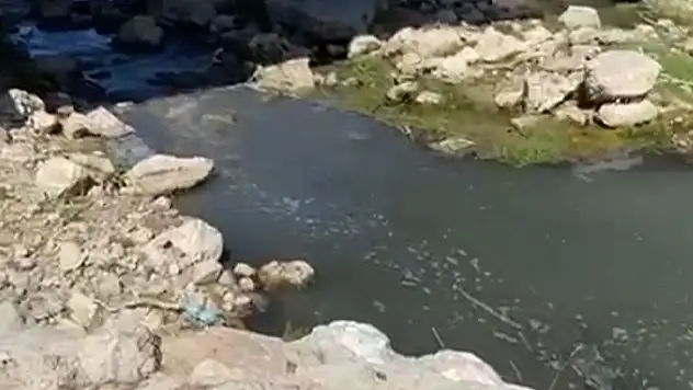 Atık suyunu dereye deşarj eden patates fabrikasına ceza
