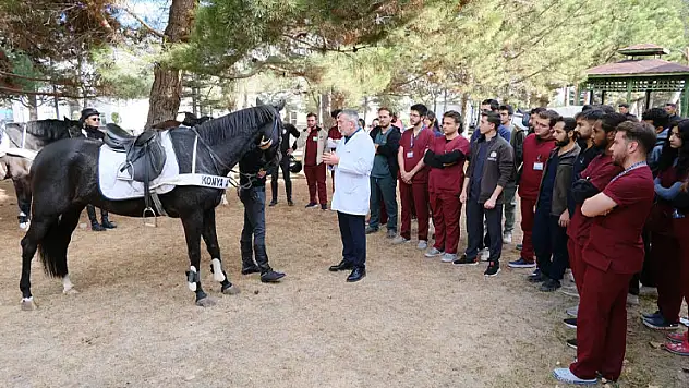 Atlı Polis Birliği'nin atlarına sağlık desteği