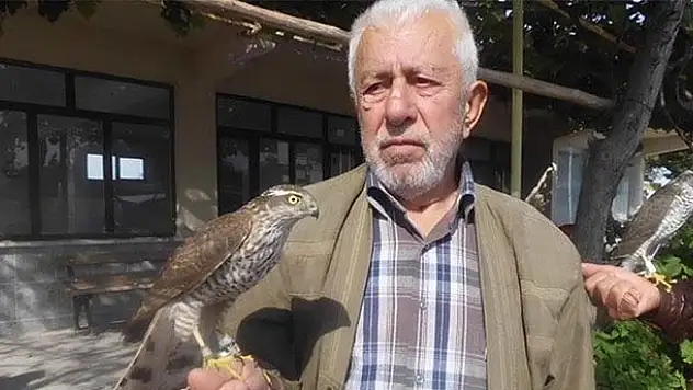 Atmacayla 'bıldırcın' avlıyorlar