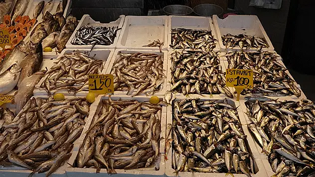 Av yasağı bitti, tezgahlar istavritle doldu
