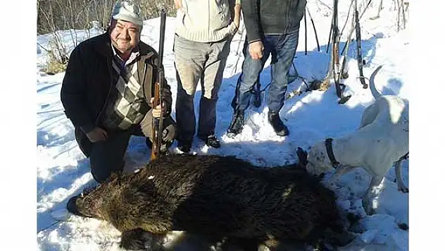 Avcılar 200 kiloluk domuz avladı