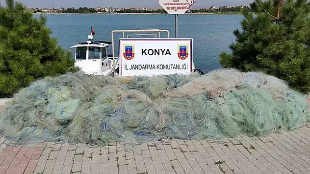 Avlanan yavru balıklar göl sularına tekrar salındı