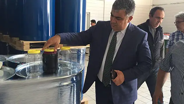 Avrupa bebek mamalarına Konya'dan siyah havuç
