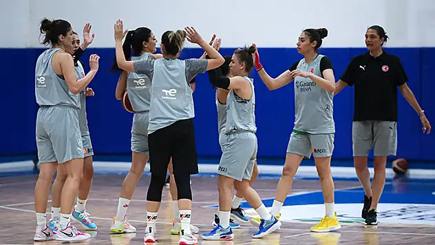 Avrupa biletini almak istiyoruz
