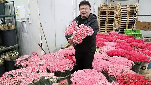 Avrupa'ya 7 milyon dolarlık 'Sevgililer Günü' karanfili
