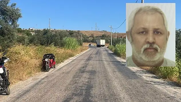 Avşa'da kalp krizi geçiren sürücü kaza yaptı: Hastanede hayatını kaybetti