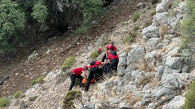 Avustralyalı turistin cesedi tarihi Likya Yolunda bulundu