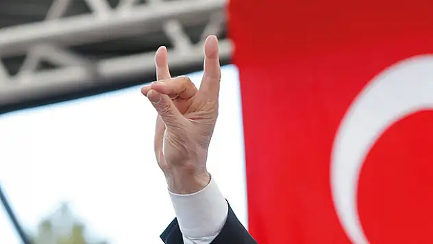 Avusturya'da 'Bozkurt' işareti artık yasak