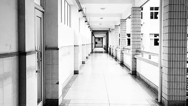 Avusturya'da liseye silahlı saldırı: 10 kişi hayatını kaybetti