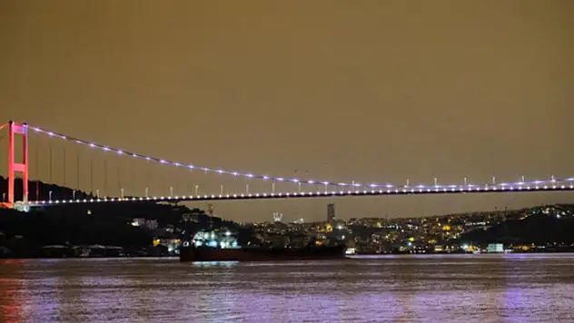 Ayçiçeği yağı yüklü gemi Türkiye'de
