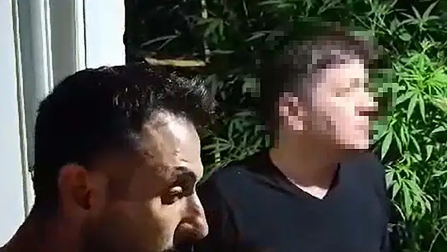 Aydın' da evinde Hint keneviriyle yakalanıp, tutuklanan şüpheli: Mide kanseri olan babam için ekmiştim
